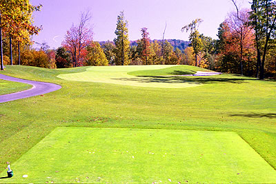 Hole #4 | 166 yards | Par 3