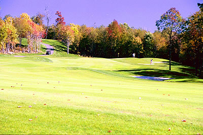 Hole #5 | 410 yards | Par 4