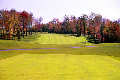 Hole #8 | 403 yards | Par 4